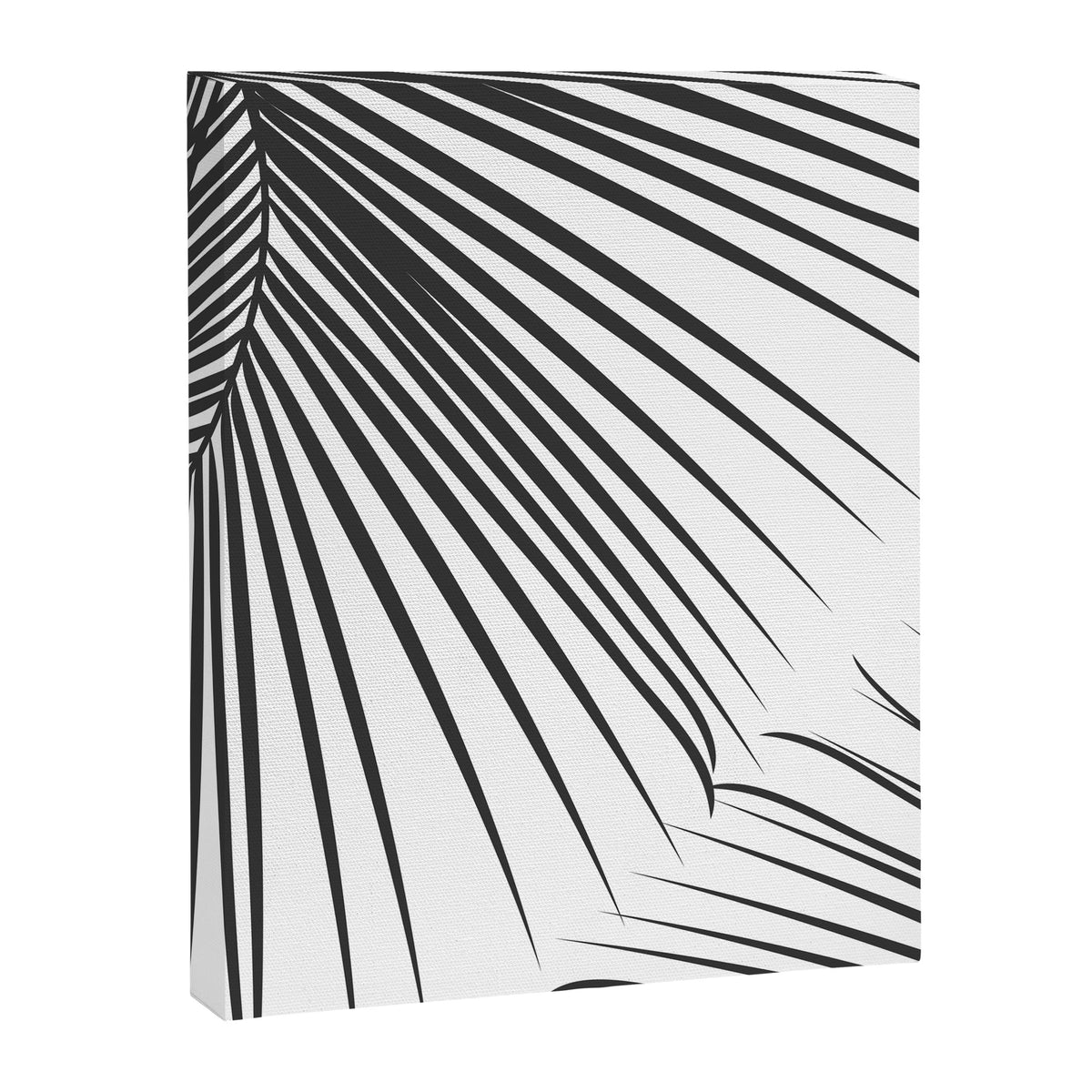 Palm Canvas Print Gallery Image 8