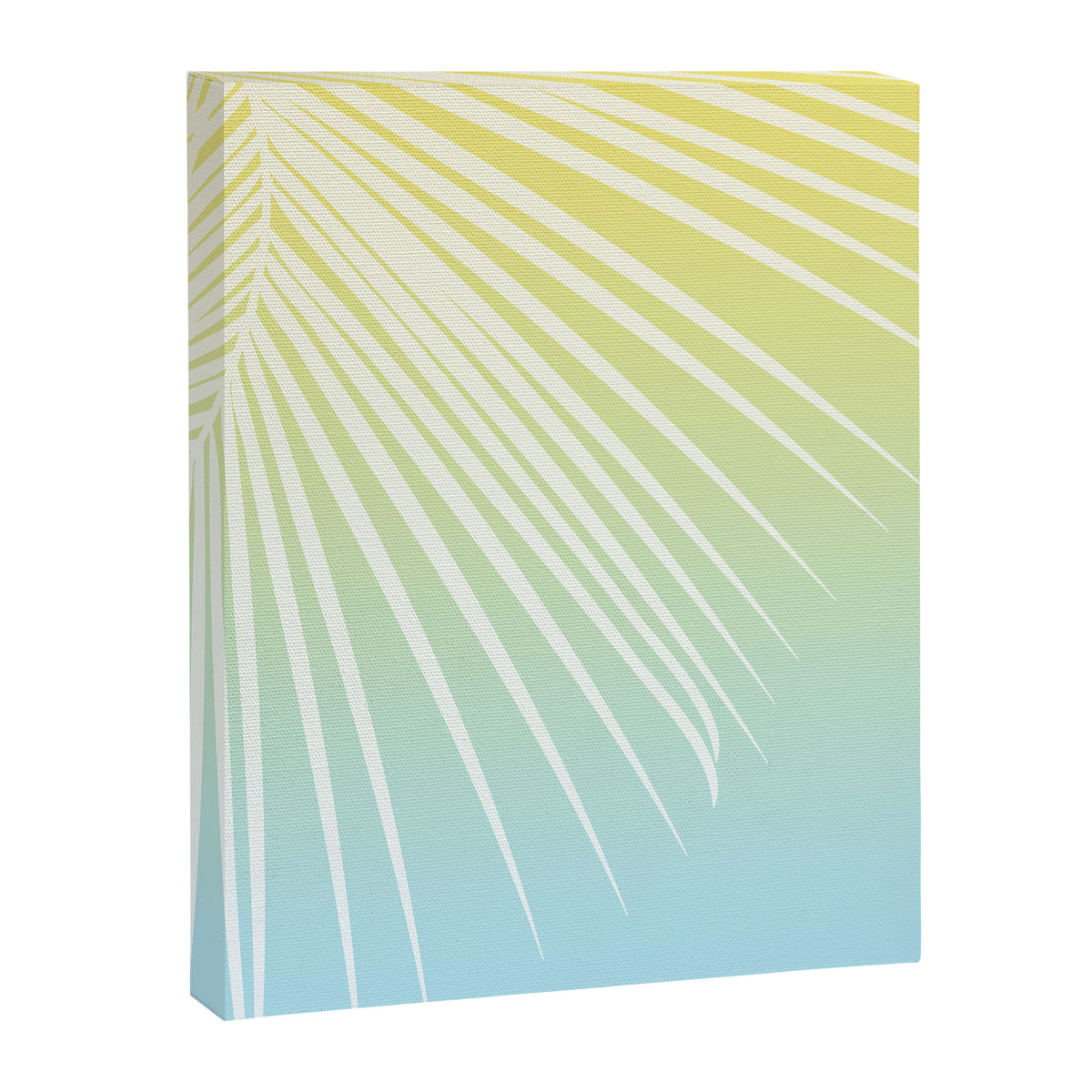 Pastel Palm 03 Canvas Print Gallery Image 8