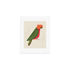 Australian King Parrot, Bird of Australia Art Print Gallery Image 1