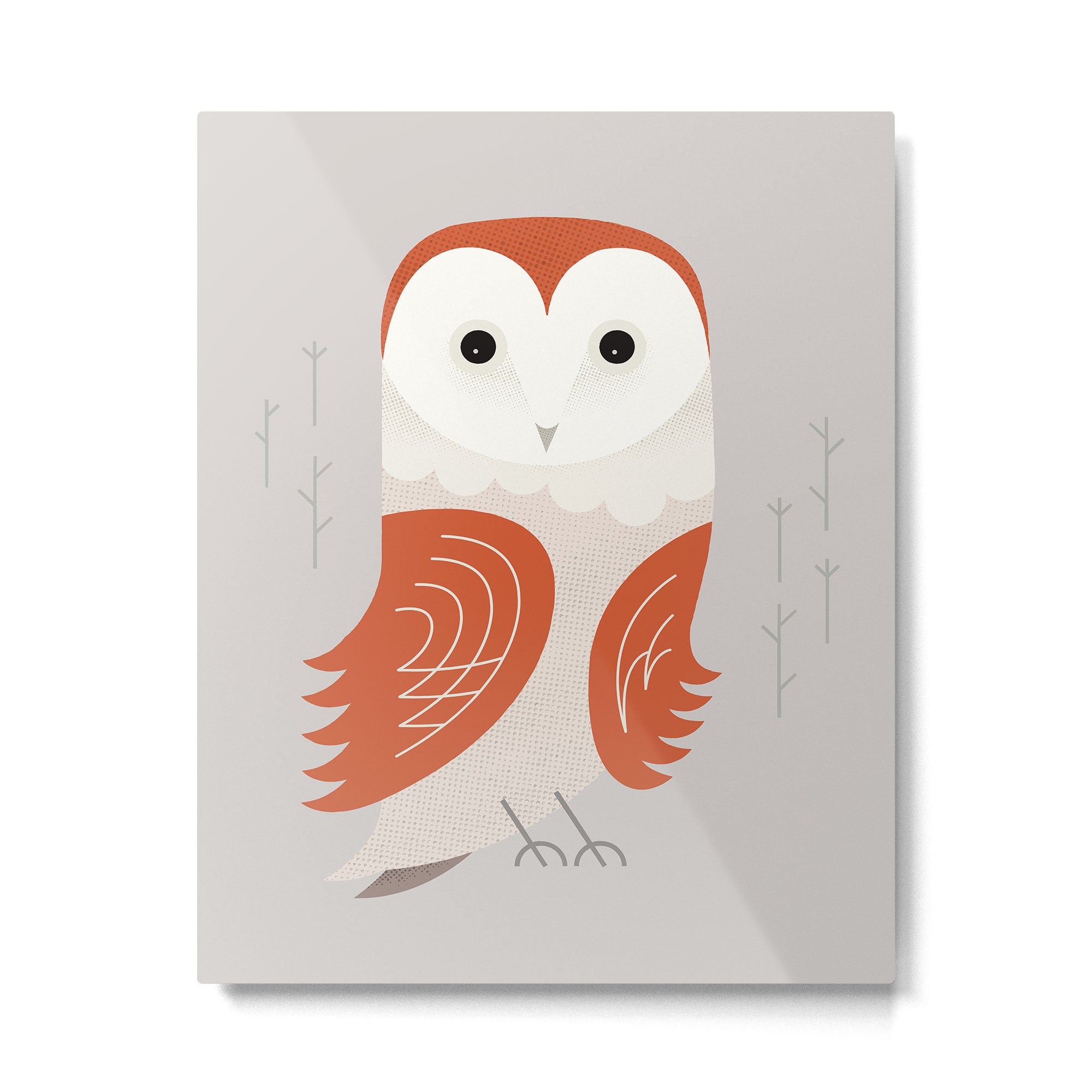Barn Owl, Bird of United Kingdom Metal Print Gallery Image 6