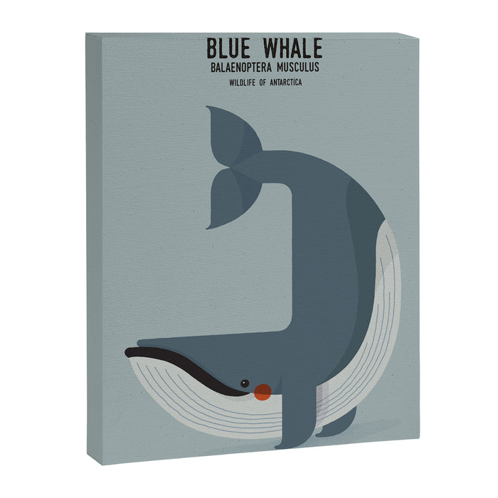 Blue Whale, Wildlife of Antarctica Canvas Print Gallery Image 1