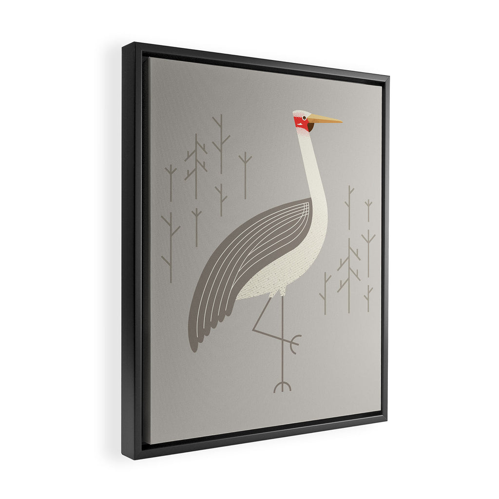 Brolga, Bird of Australia Framed Canvas Print Gallery Image 2