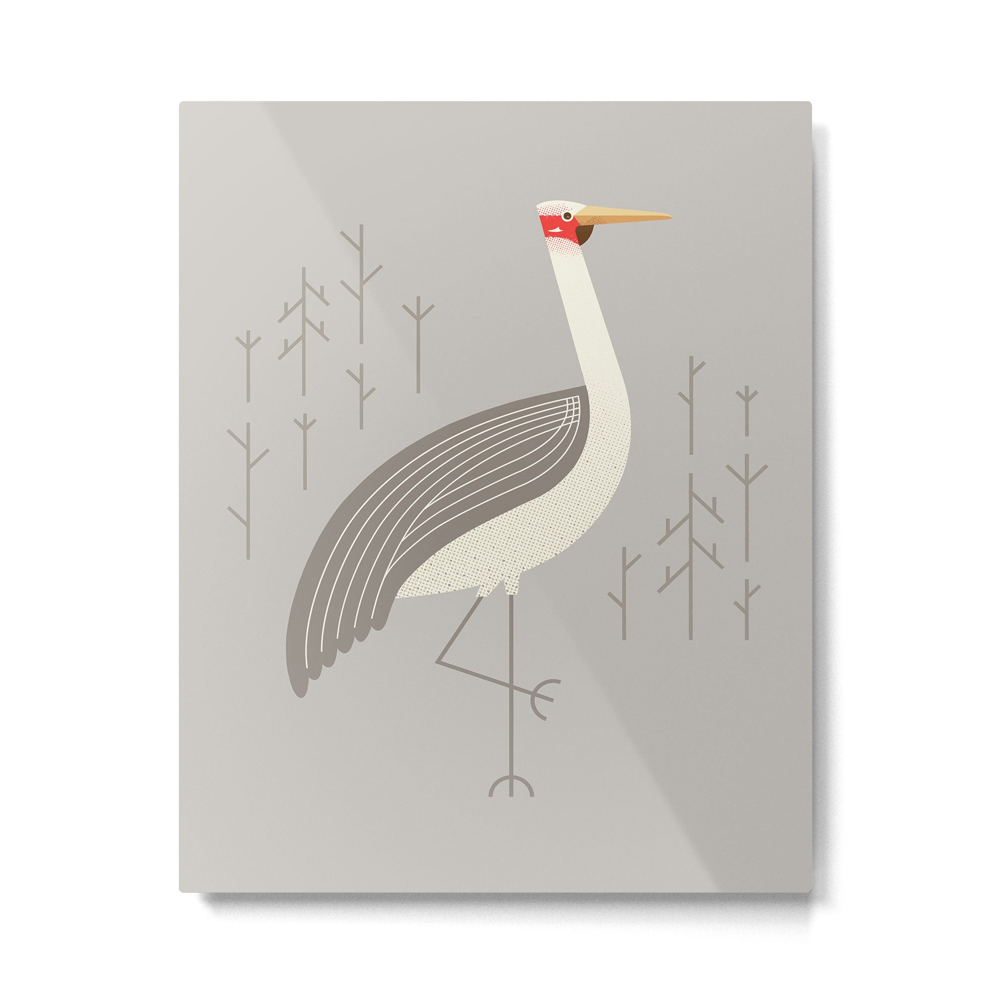 Brolga, Bird of Australia Metal Print Gallery Image 6