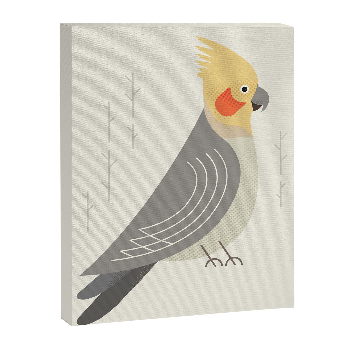 Cockatiel, Bird of Australia Canvas Print Gallery Image 8