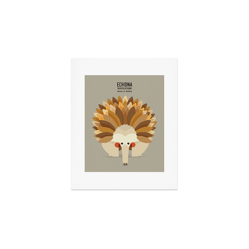 Echidna, Wildlife of Australia Art Print Gallery Image 1