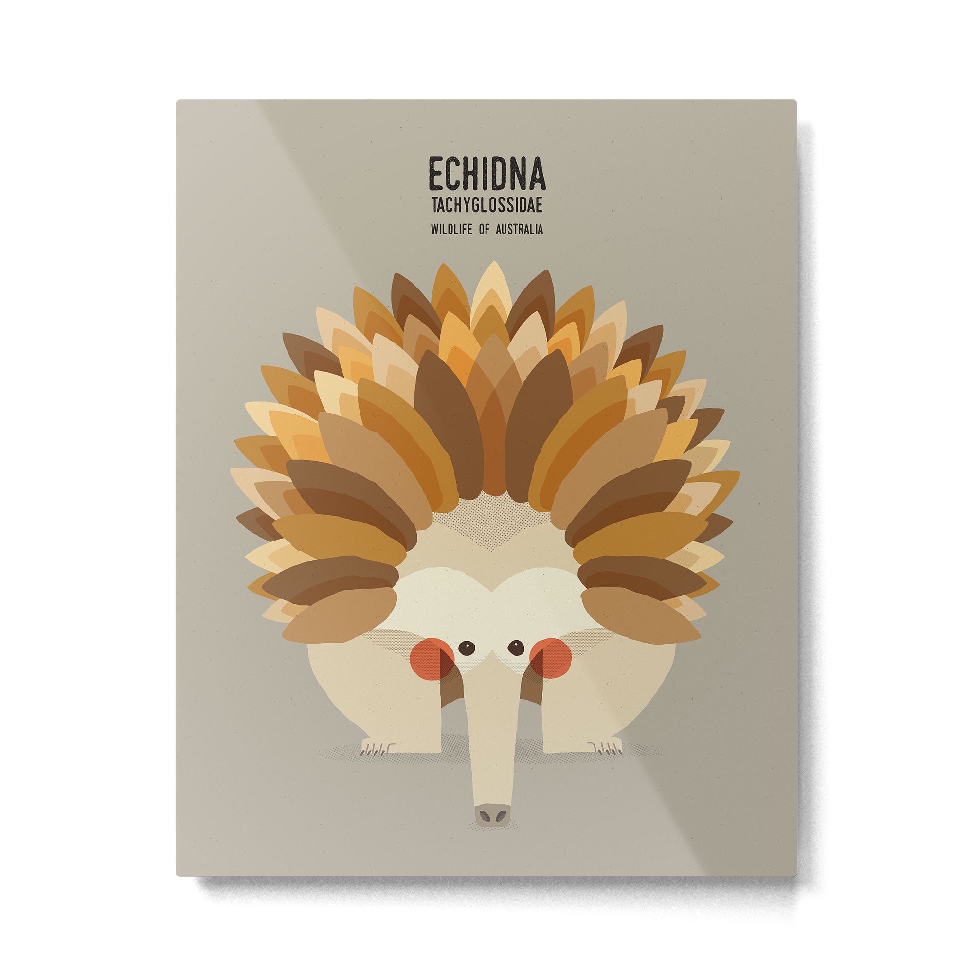 Echidna, Wildlife of Australia Metal Print Gallery Image 6