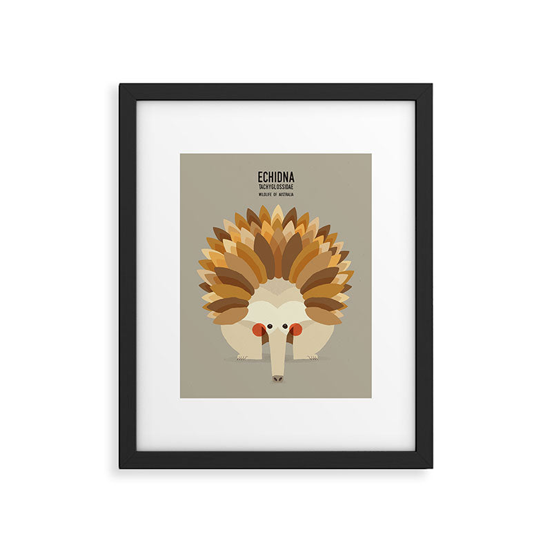 Echidna, Wildlife of Australia Framed Art Print Gallery Image 6