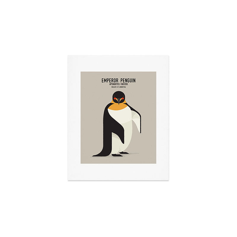 Emperor Penguin, Wildlife of Antarctica Art Print Gallery Image 1