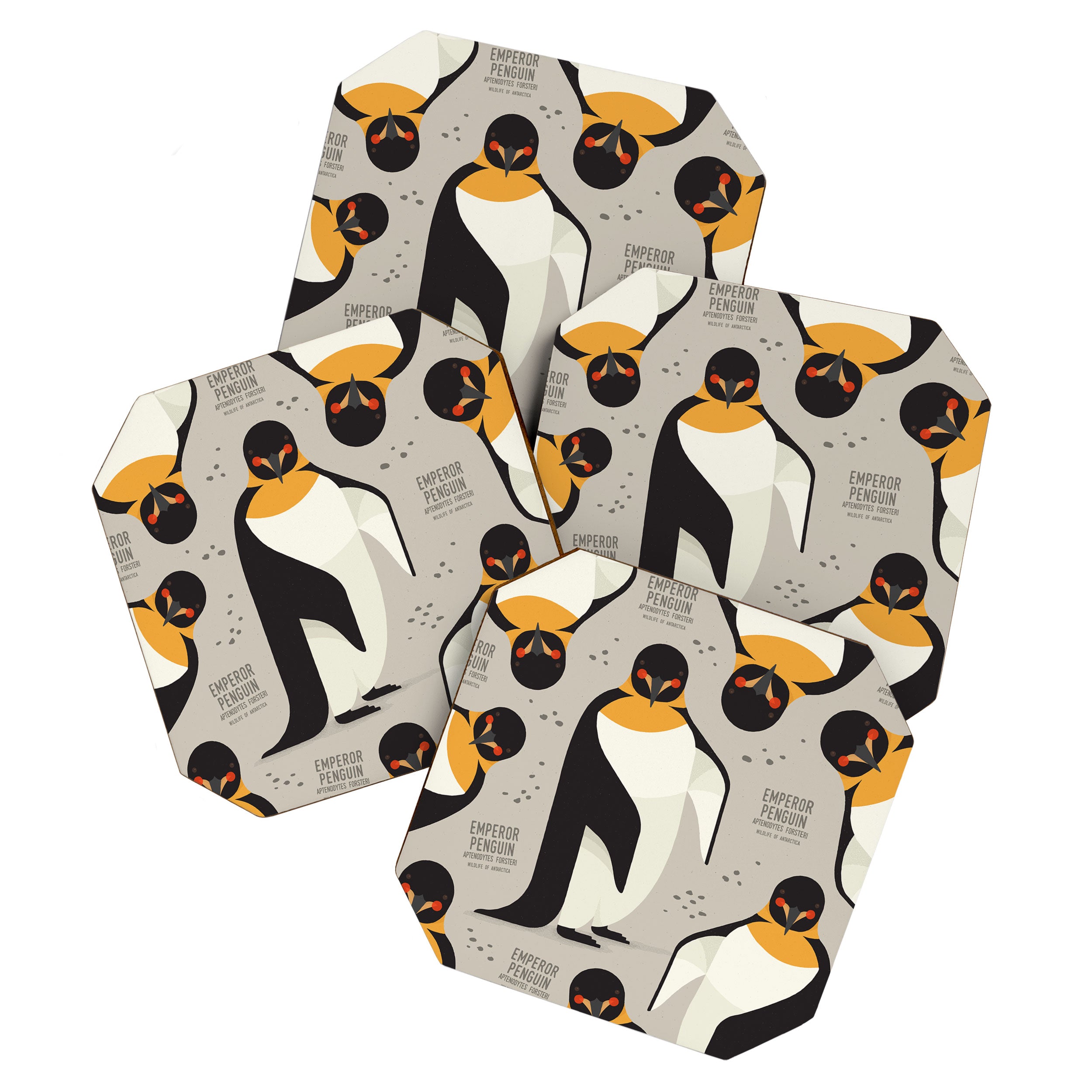 Emperor Penguin, Wildlife of Antarctica Coaster Gallery Image 1