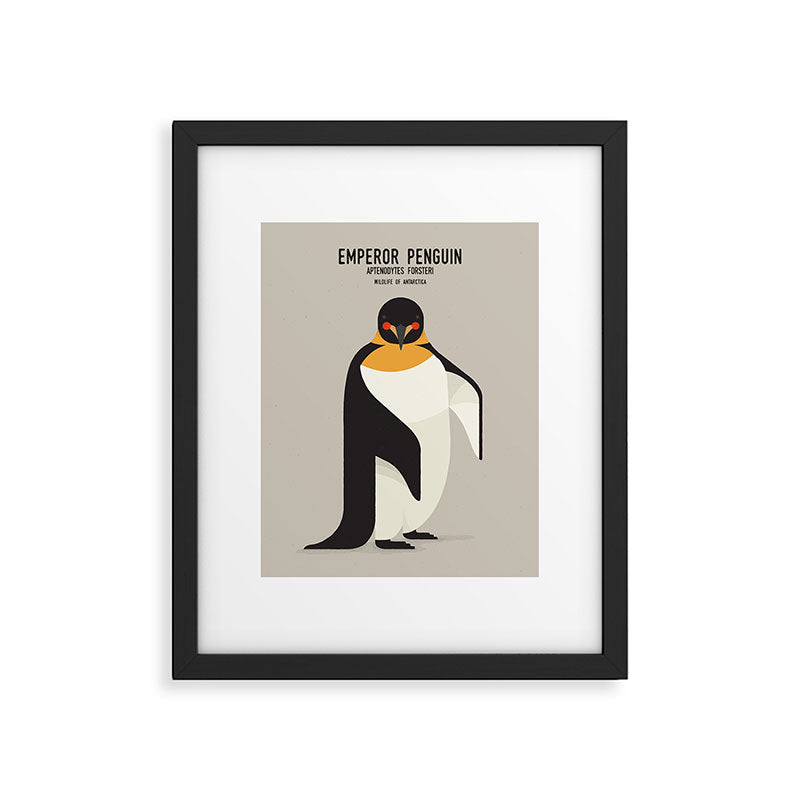 Emperor Penguin, Wildlife of Antarctica Framed Art Print Gallery Image 6