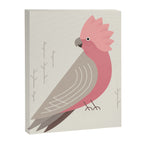 Galah, Bird of Australia Canvas Print Gallery Image 8