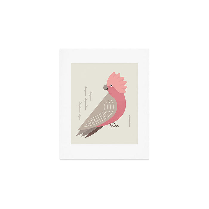 Galah, Bird of Australia Art Print Gallery Image 1