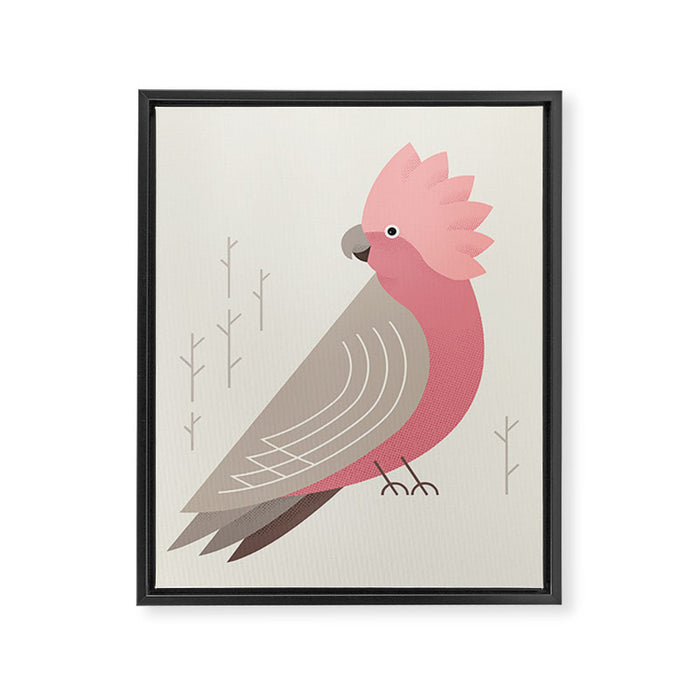 Galah, Bird of Australia Framed Canvas Print Gallery Image 1