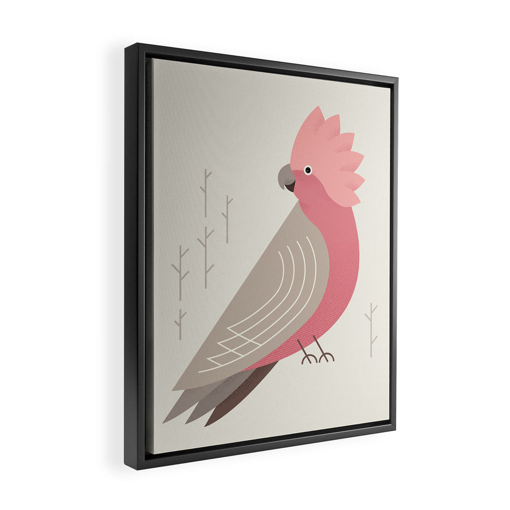 Galah, Bird of Australia Framed Canvas Print Gallery Image 2