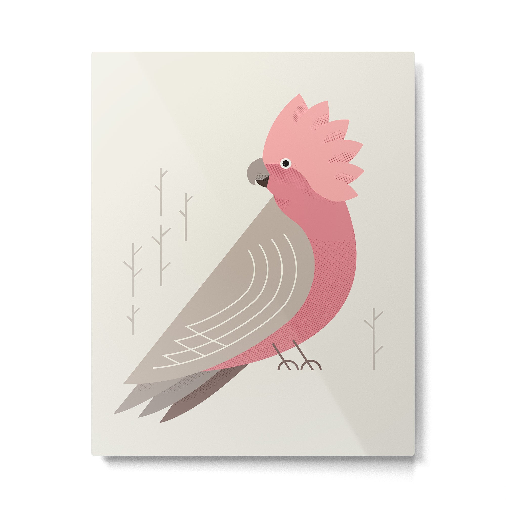 Galah, Bird of Australia Metal Print Gallery Image 6