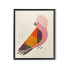 Galah Framed Canvas Print Gallery Image 8