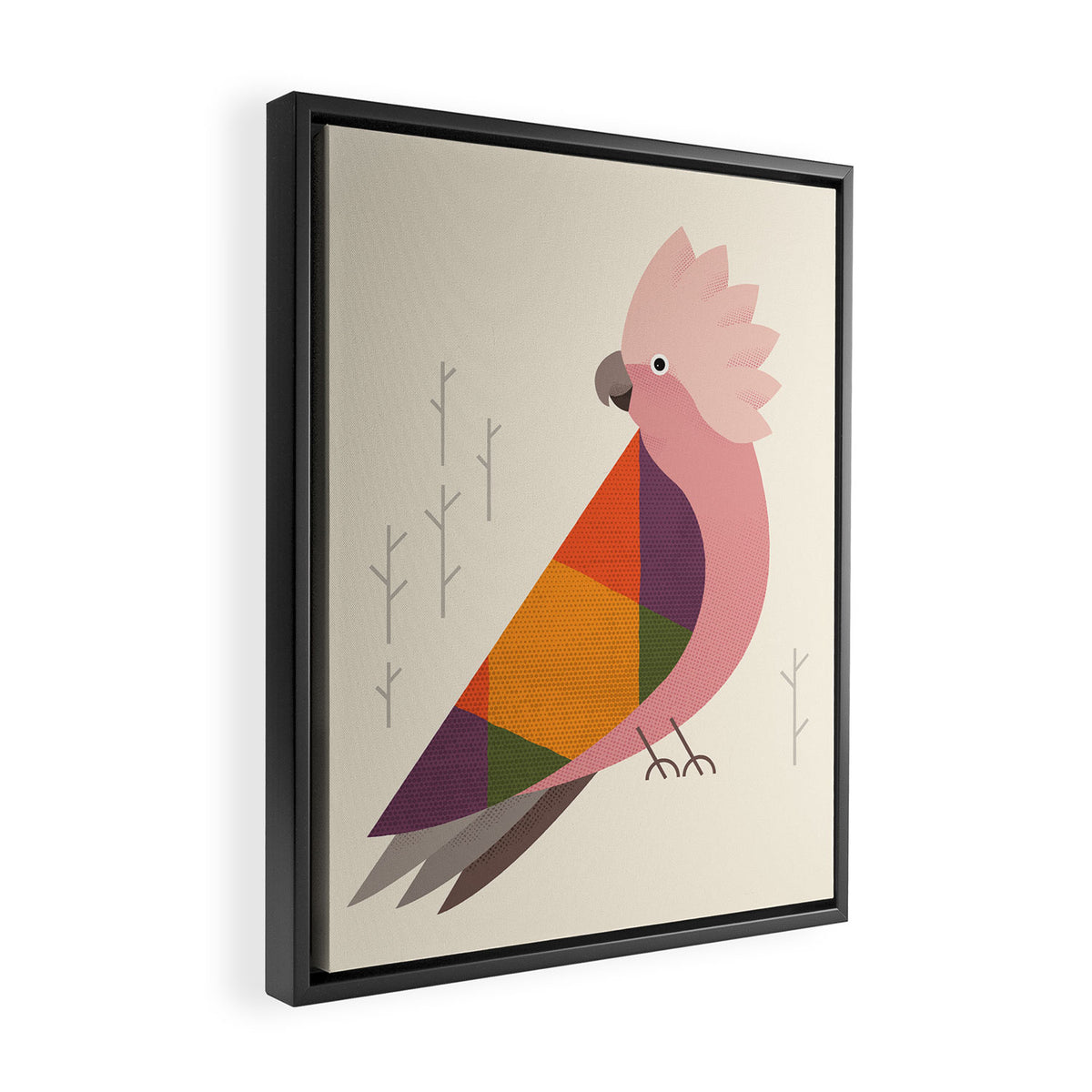 Galah Framed Canvas Print Gallery Image 2