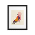 Galah Framed Art Print Gallery Image 6
