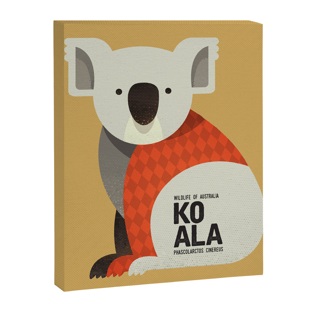 Hello Koala Canvas Print Gallery Image 8