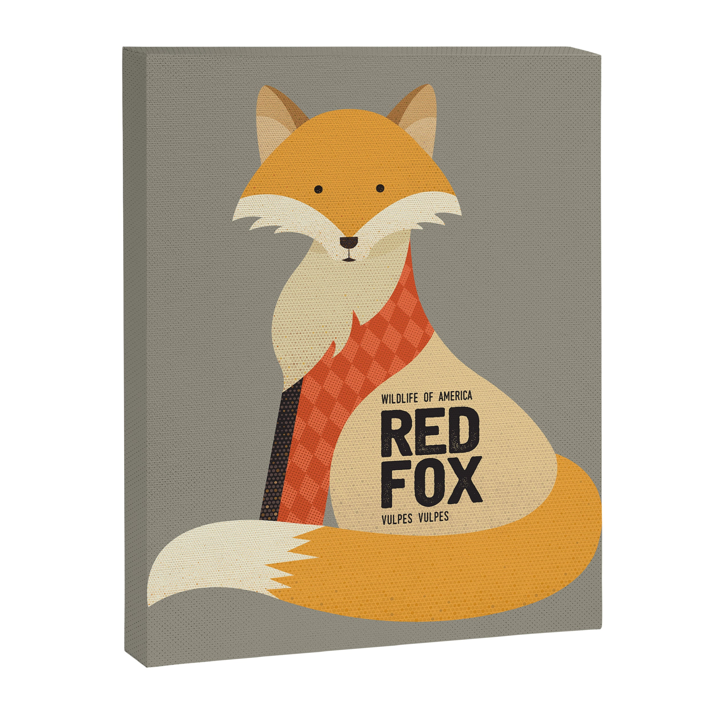 Hello Red Fox Canvas Print Gallery Image 8