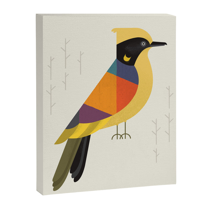 Helmeted Honeyeater Canvas Print Gallery Image 1