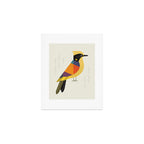 Helmeted Honeyeater Art Print Gallery Image 1