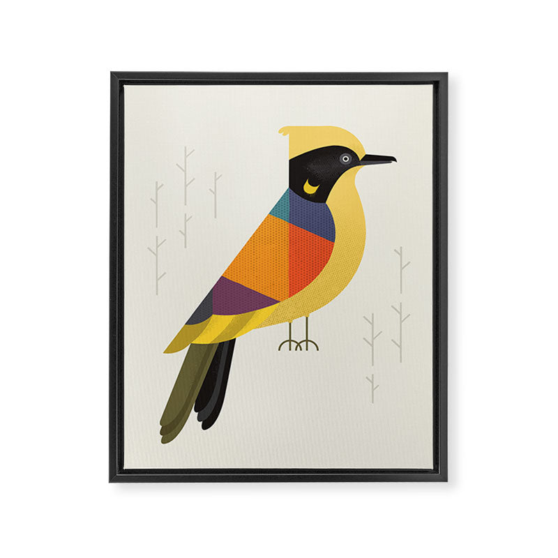 Helmeted Honeyeater Framed Canvas Print Gallery Image 8