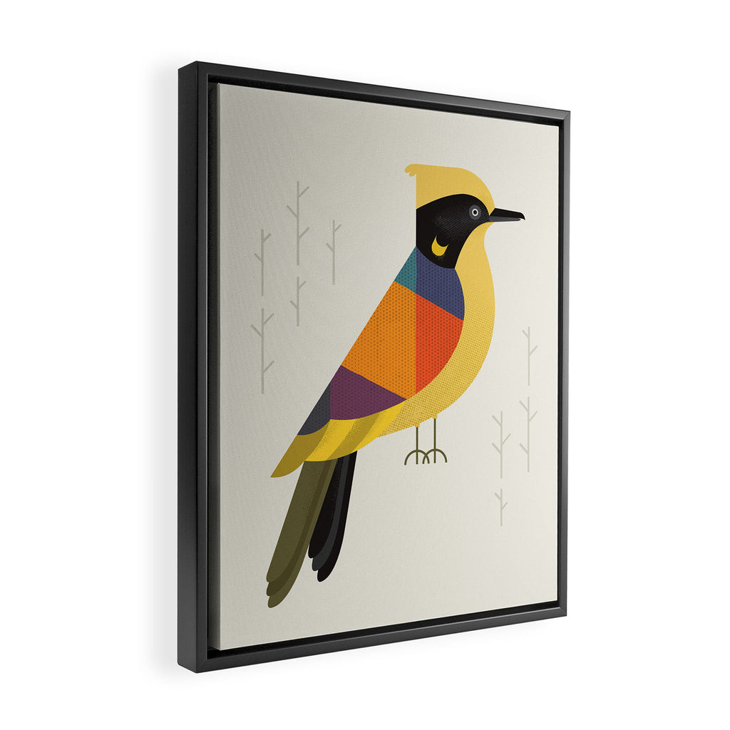 Helmeted Honeyeater Framed Canvas Print Gallery Image 2
