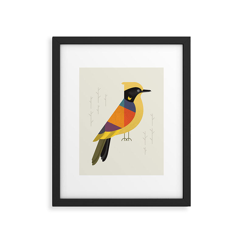Helmeted Honeyeater Framed Art Print Gallery Image 6
