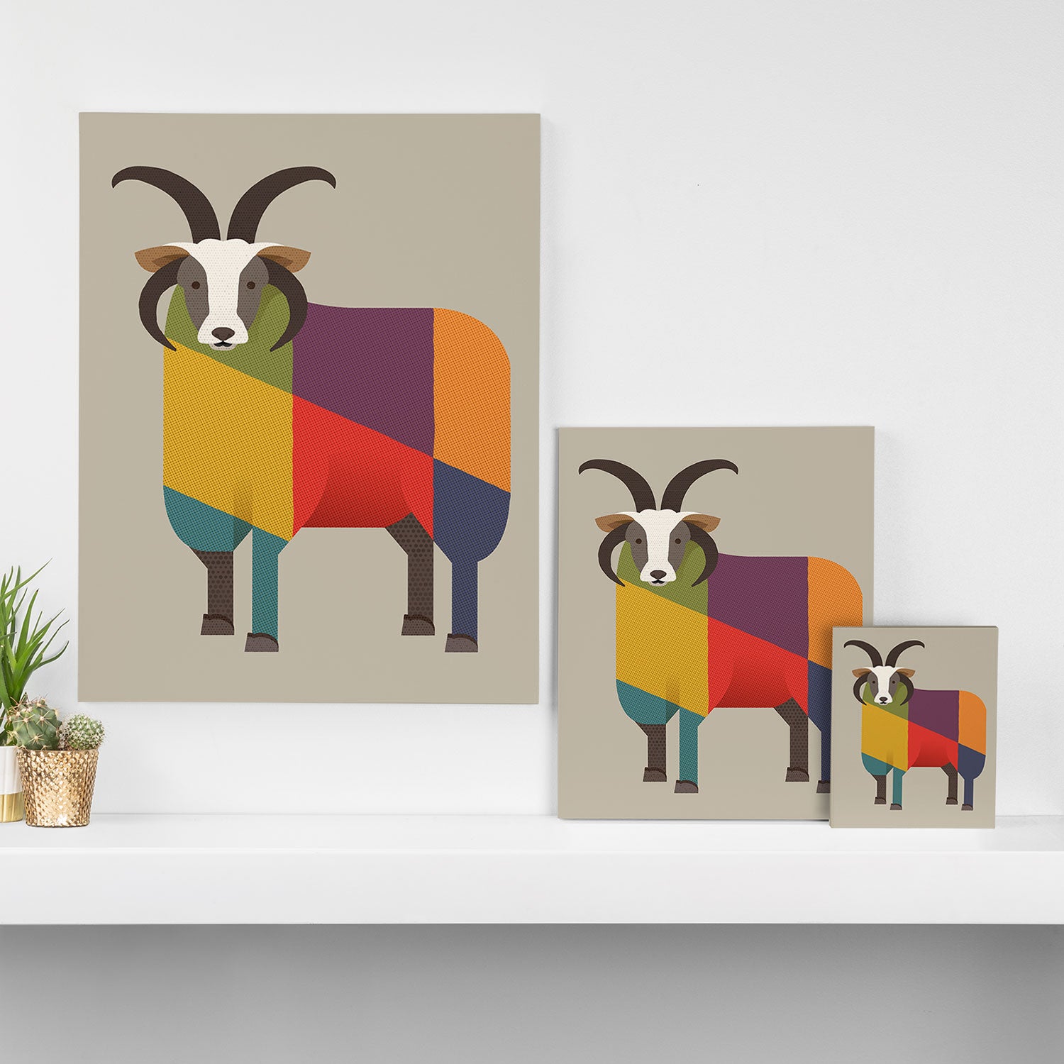 Jacob Sheep Canvas Print Gallery Image 3
