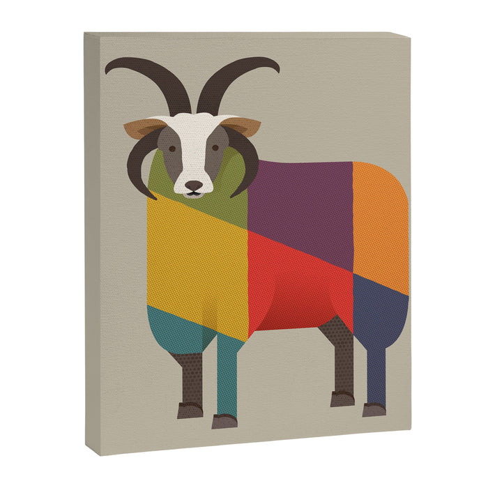 Jacob Sheep Canvas Print Gallery Image 1