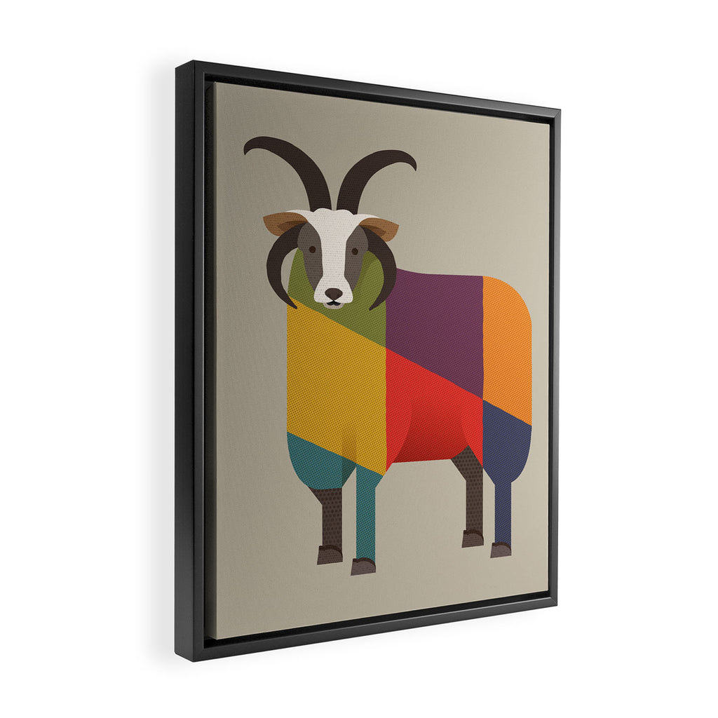 Jacob Sheep Framed Canvas Print Gallery Image 2