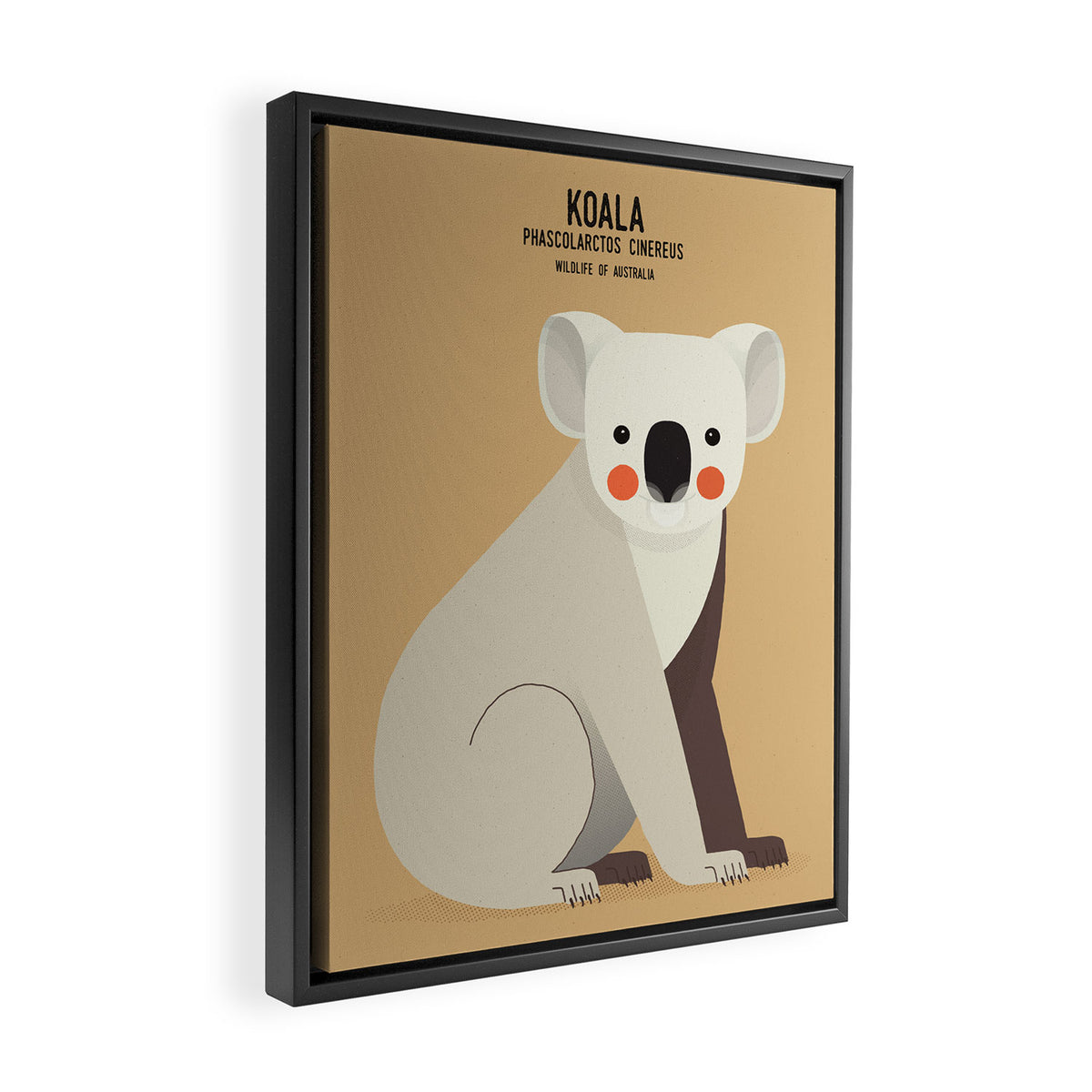 Koala, Wildlife of Australia Framed Canvas Print Gallery Image 2