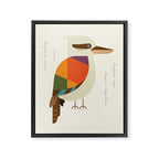 Laughing Kookaburra Framed Canvas Print Gallery Image 8