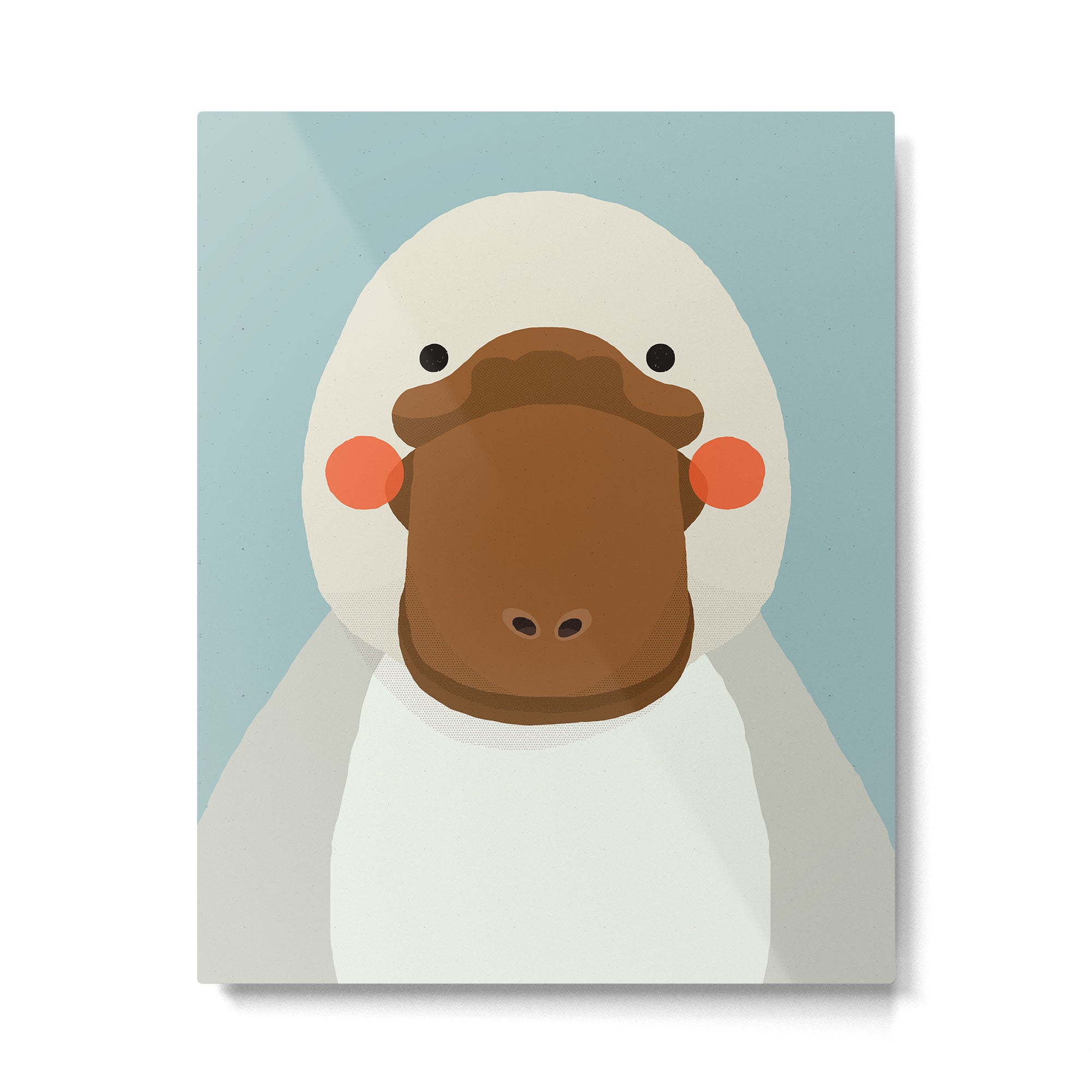 Platypus, Animal Portrait Metal Print Gallery Image 6