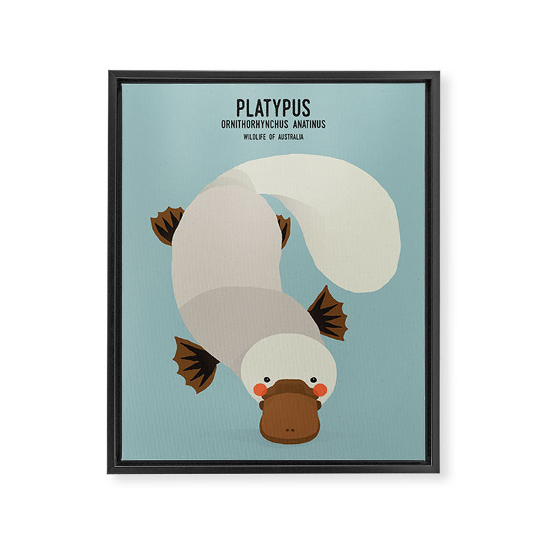 Platypus, Wildlife of Australia Framed Canvas Print Gallery Image 8