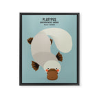 Platypus, Wildlife of Australia Framed Canvas Print Gallery Image 8