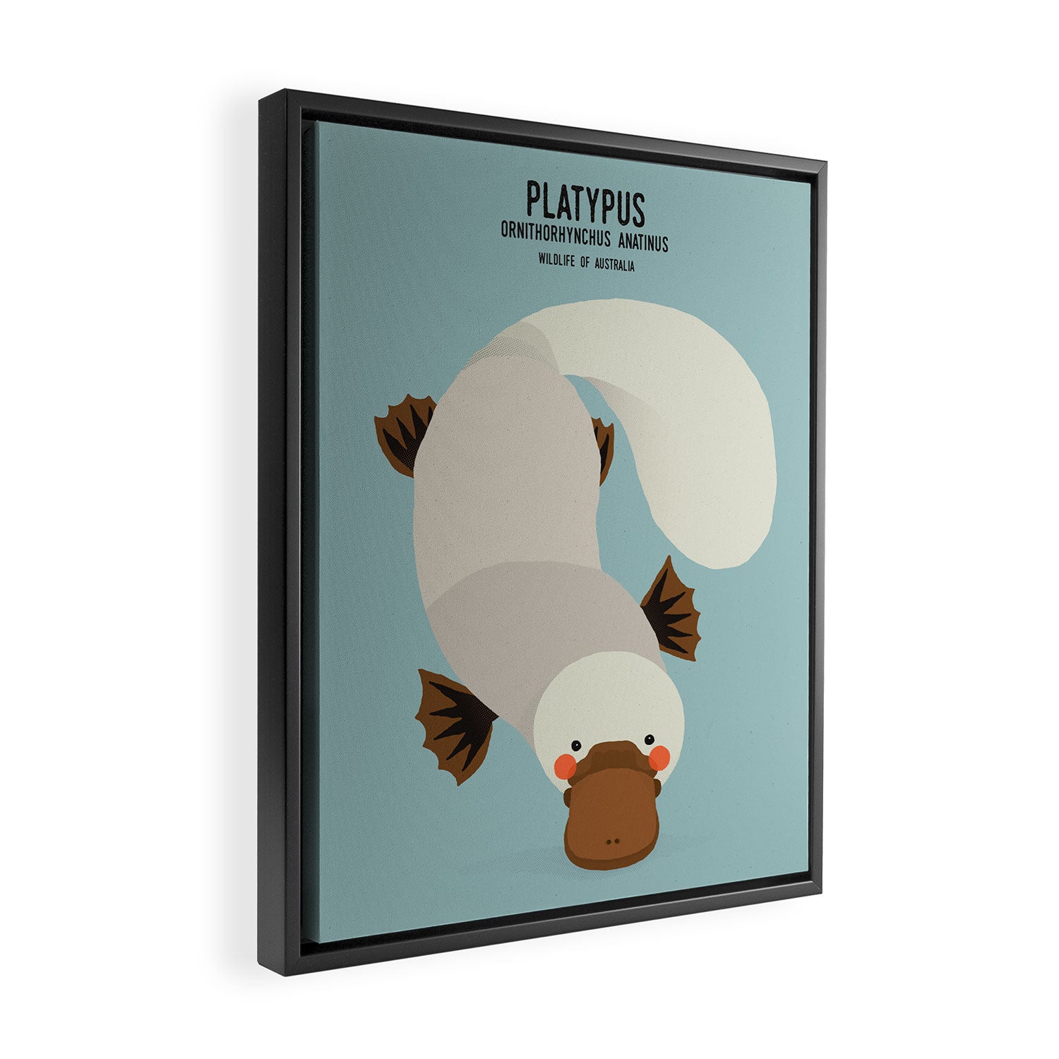 Platypus, Wildlife of Australia Framed Canvas Print Gallery Image 2