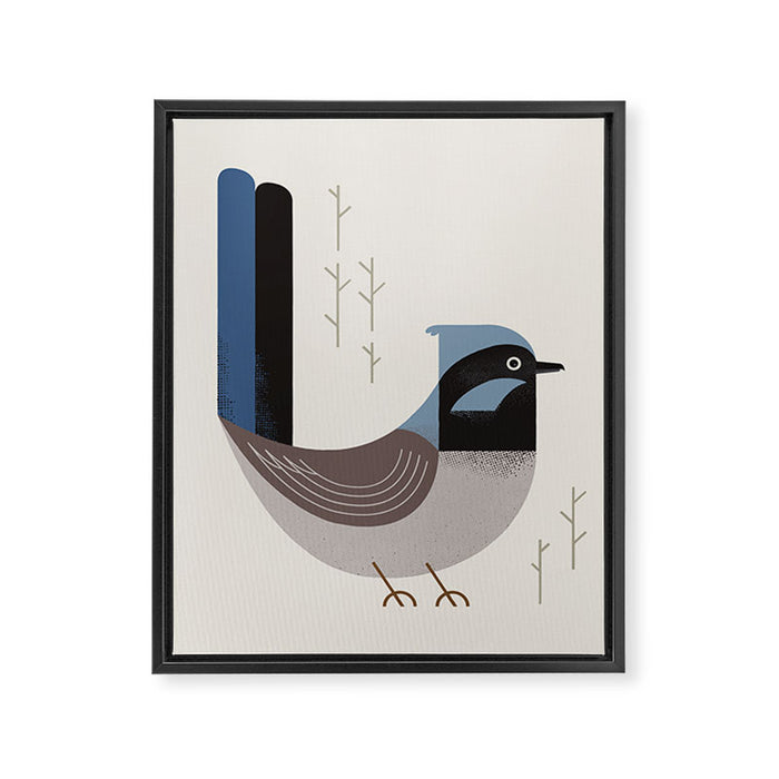 Superb Fairywren, Bird of Australia Framed Canvas Print Gallery Image 1
