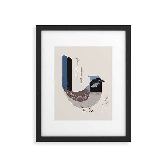 Superb Fairywren, Bird of Australia Framed Art Print Gallery Image 1