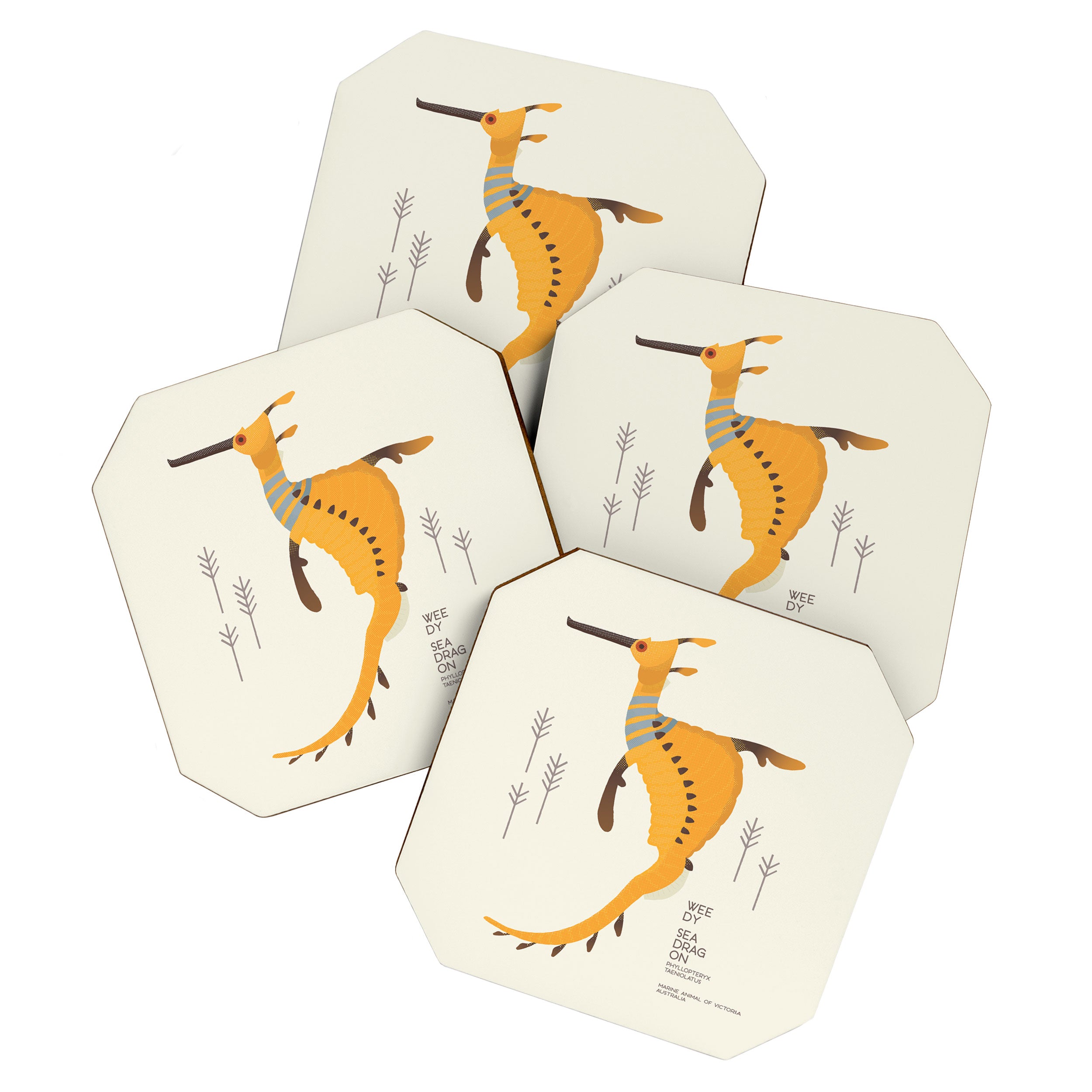 Weedy Seadragon, Marine Animal of Victoria, Australia Coaster Gallery Image 1