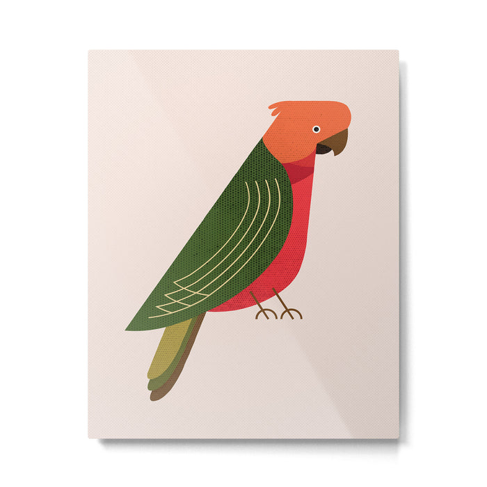Whimsy Australian King Parrot Metal Print Gallery Image 1