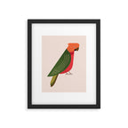 Whimsy Australian King Parrot Framed Art Print Gallery Image 6