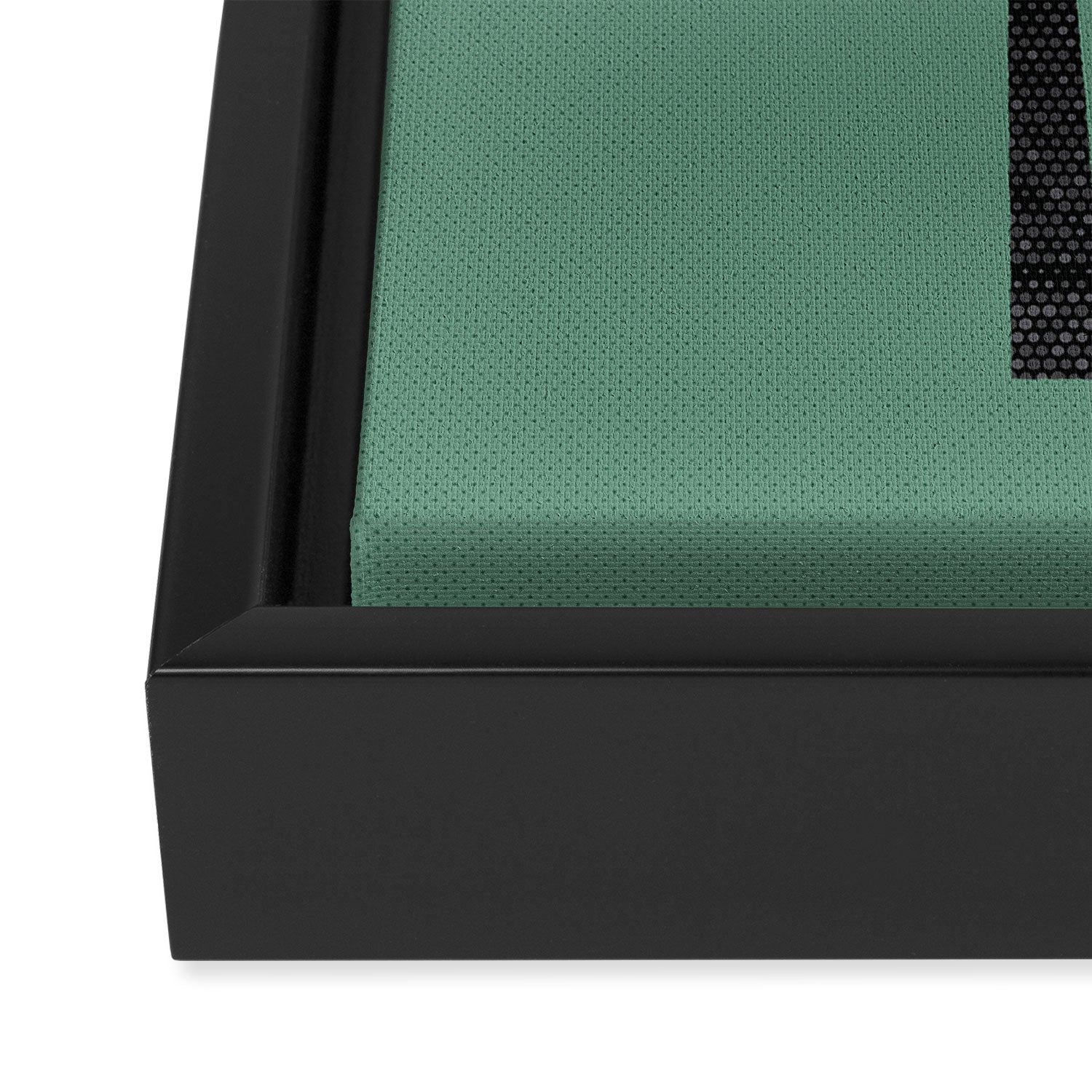 Whimsy Emu Framed Canvas Print Gallery Image 3