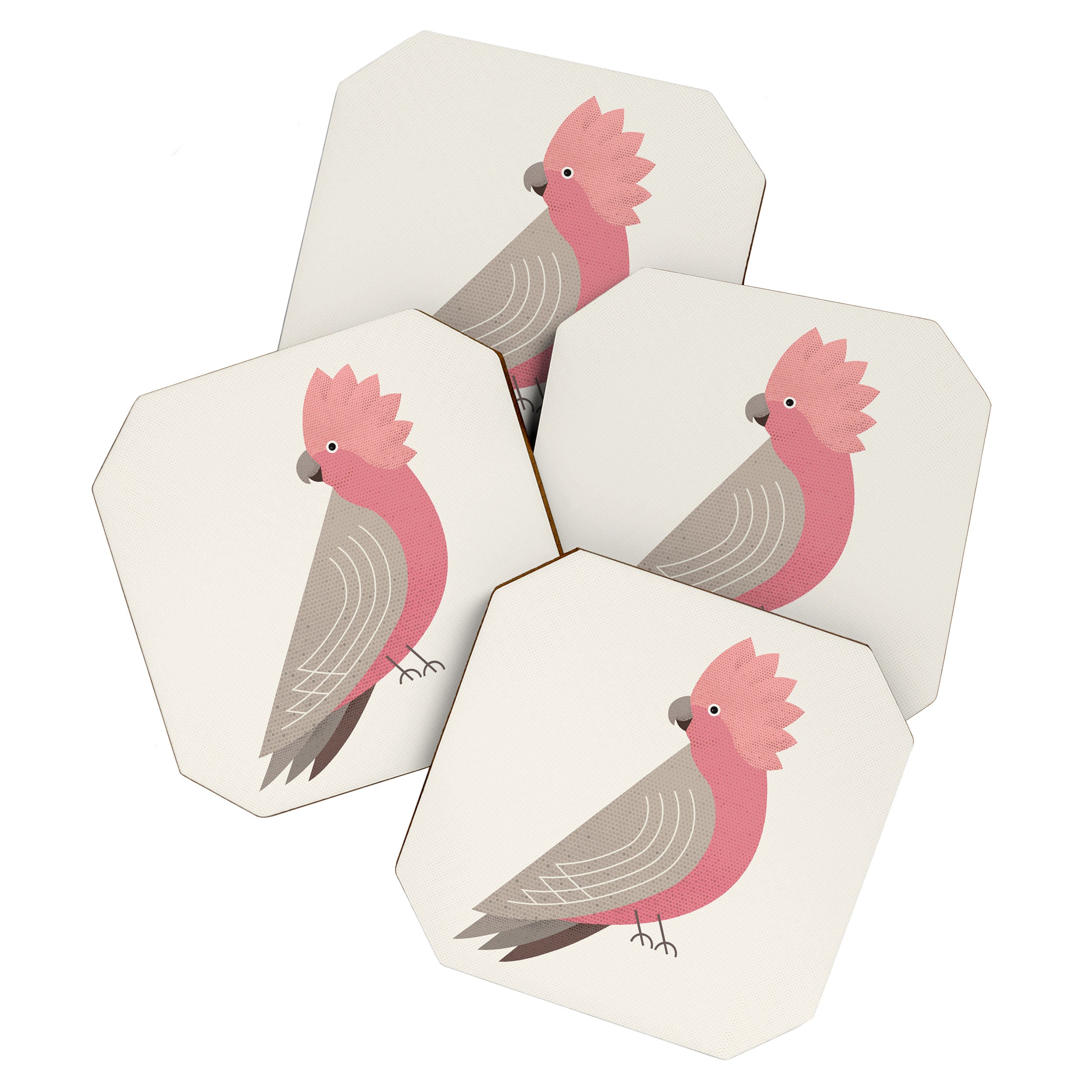 Whimsy Galah Coaster Gallery Image 1