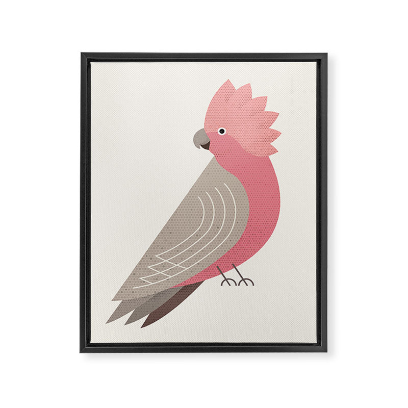 Whimsy Galah Framed Canvas Print Gallery Image 8