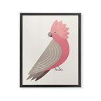 Whimsy Galah Framed Canvas Print Gallery Image 8