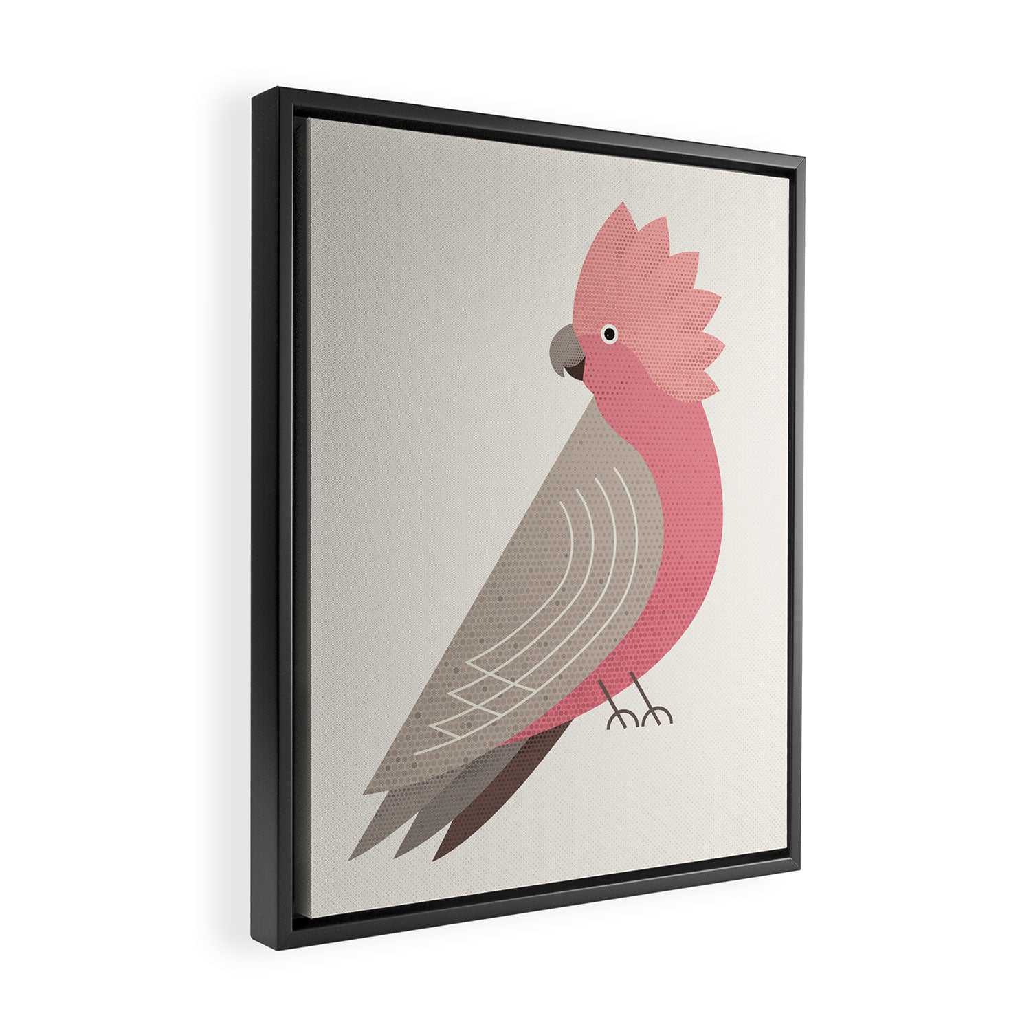 Whimsy Galah Framed Canvas Print Gallery Image 2