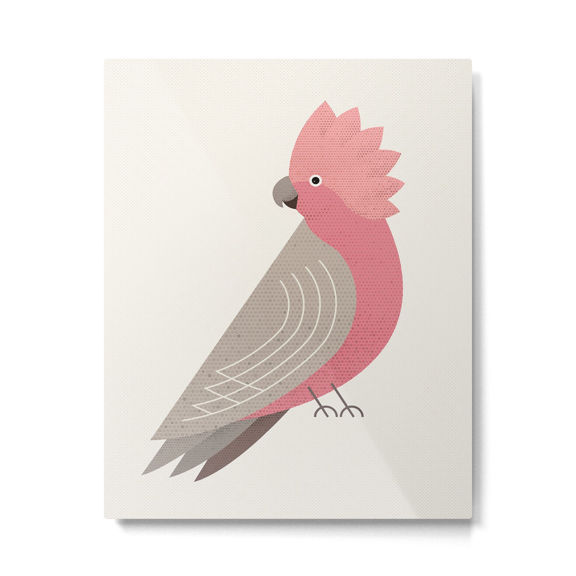 Whimsy Galah Metal Print Gallery Image 6