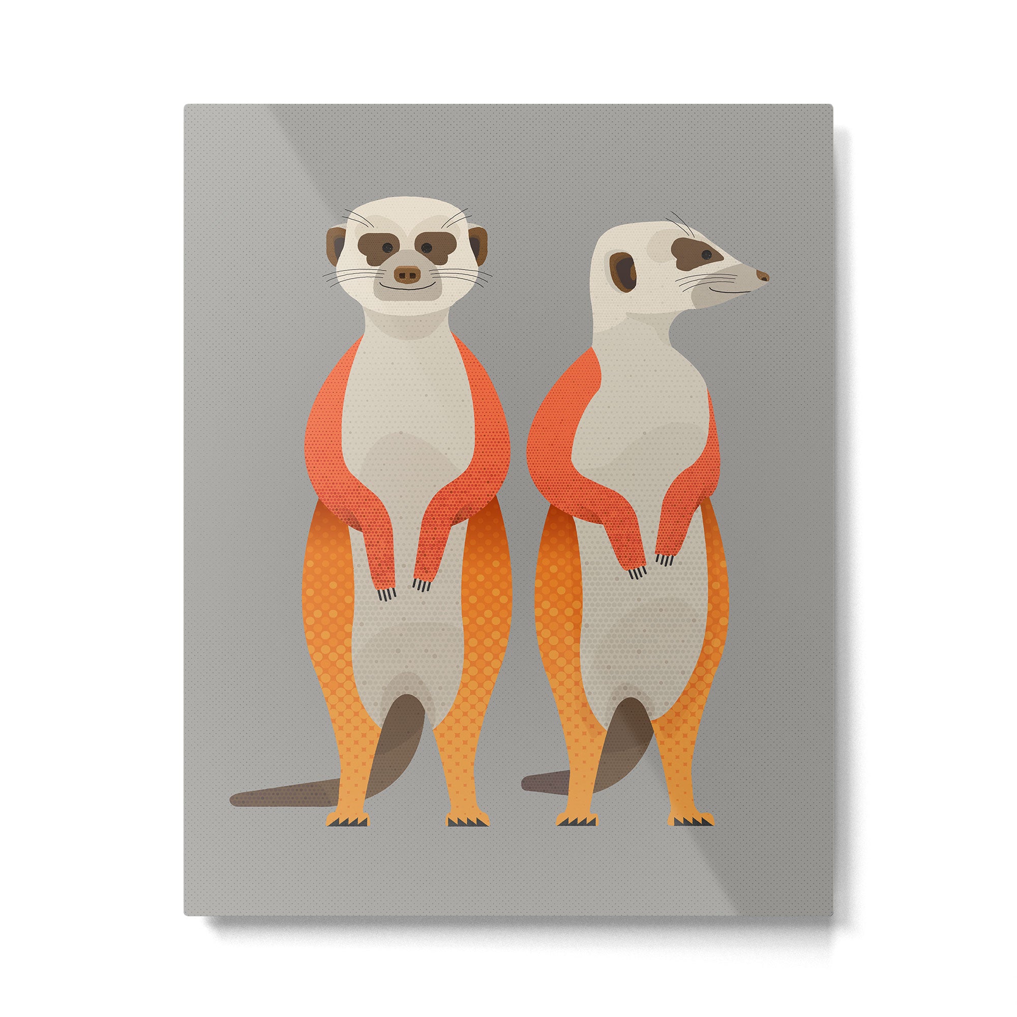 Whimsy Meerkats Metal Print Gallery Image 6